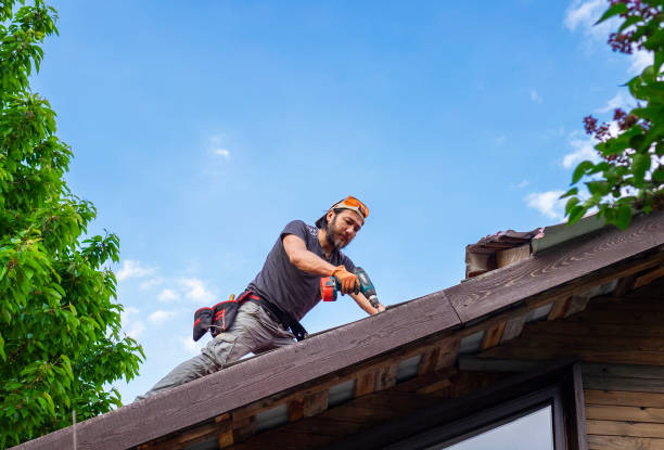 Best Rubber Roofing (EPDM, TPO)  in Hockessin, DE